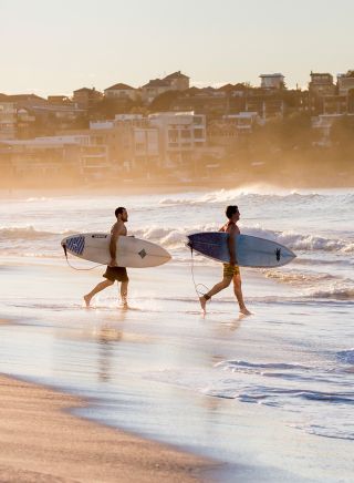 Surfers heading for a morning surf, Bondi Beach, Sydney
