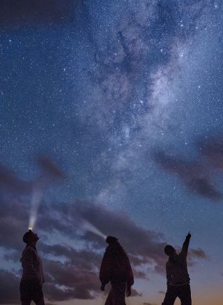 Palm Beach Headland Urban Night Sky Place