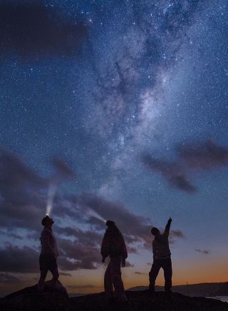 Palm Beach Headland Urban Night Sky Place