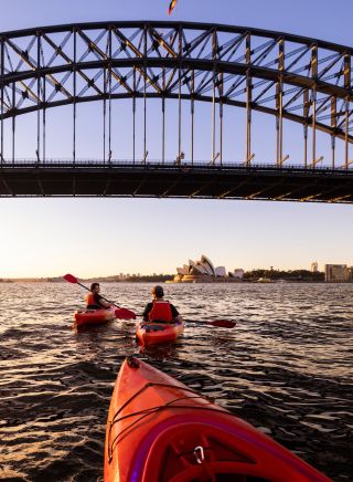 Sydney Kayak Experience