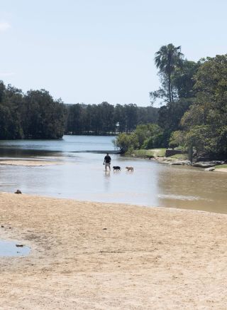 Man enjoying a day with his dog, Manly Lagoon, Manly