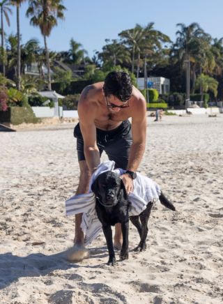 Man enjoying a day at the beach with his dog, Rose Bay Dog Beach, Rose Bay