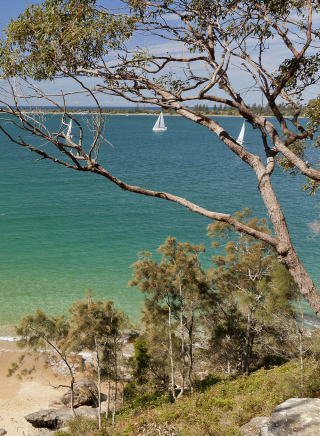 Resolute Beach, Ku-Ring-Gai Chase National Park - Credit: Andrew Gregory