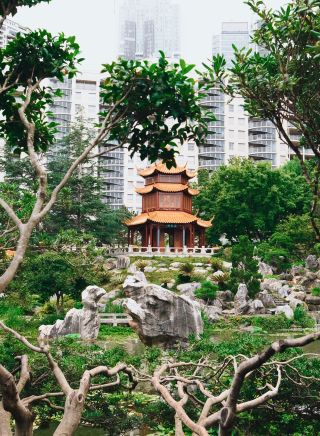 Garden surrounds, Chinese Garden of Friendship, Darling Harbour 