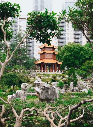 Garden surrounds, Chinese Garden of Friendship, Darling Harbour 