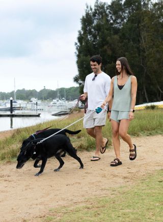 Couple walking dogs, Bayview Dog Park, Bayview
