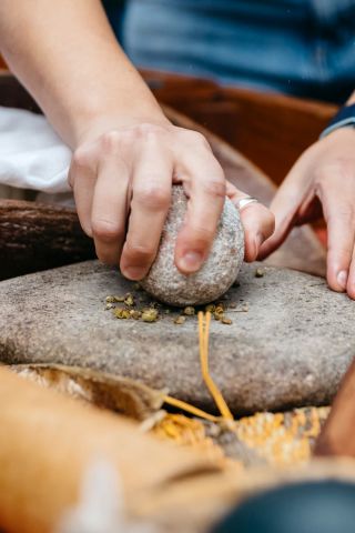 Guests learning about the rich Aboriginal culture of the Gadigal people on a guided tour, Royal Botanic Garden, Sydney