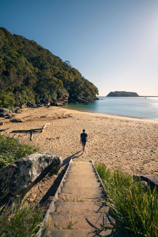 Resolute Beach, Ku-ring-gai Chase National Park