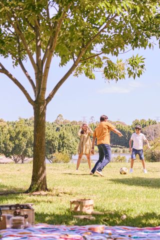 Bicentennial Park, Homebush