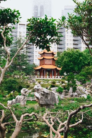 Garden surrounds, Chinese Garden of Friendship, Darling Harbour 