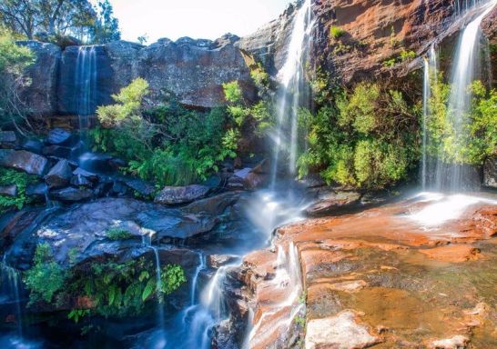  Dharawal National Park in Appin 