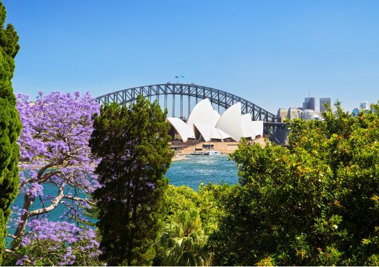 Views of the Sydney Opera House from the Royal Botanic Garden, Sydney
