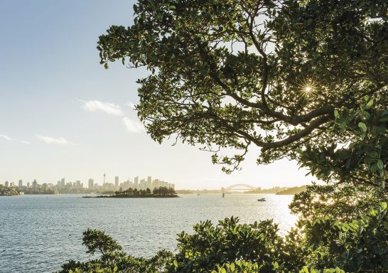 Sydney Harbour in Summer