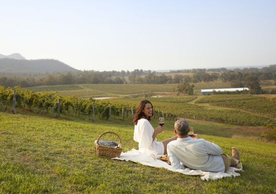Wine picnic next to the vineyard - Audrey Wilkinson - Pokolbin - Hunter Valley 