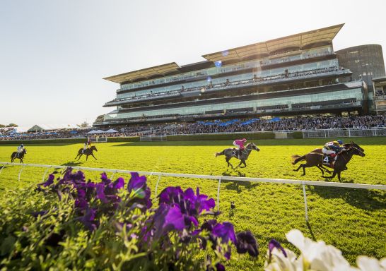 The Championship Races, Royal Randwick