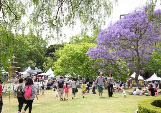 Northside Produce Market - Ted Mack Civic Park, Chatswood. Image Credit: North Sydney Community Centre