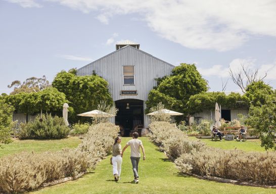 Lowe Wines in Mudgee