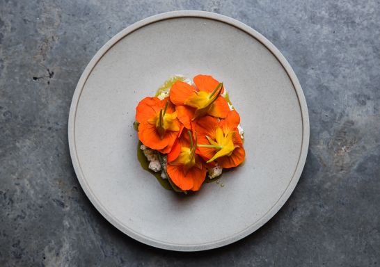 Automata Restaurant in Chippendale, Inner Sydney