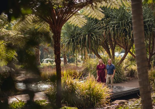 Couple walking in The Australian Botanic Garden in Mount Annan, Sydney West