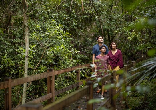 Family enjoying a visit to Cumberland State Forest, West Pennant Hills