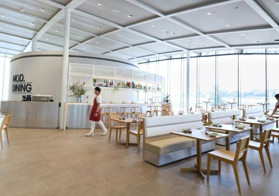 Restaurant dining at MOD Dining at the Art Gallery of NSW, The Domain