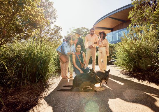 Guests getting up and close to wallabies, Taronga Zoo Sydney, Mosman