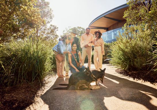 Guests getting up and close to wallabies, Taronga Zoo Sydney, Mosman