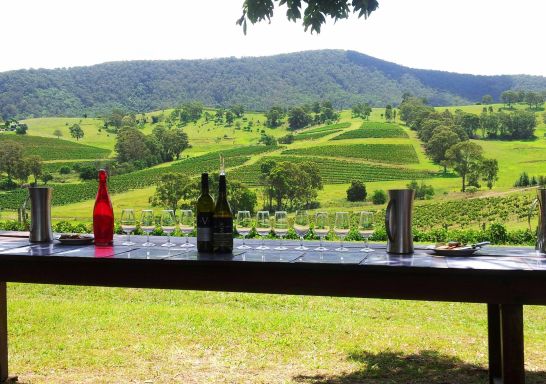 Lunch, Cheese, Chocolate & Organic Vodka Tasting with Hunter Valley Wine Tours, Hunter Valley